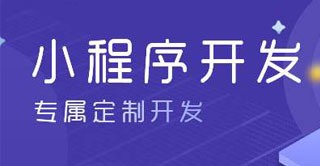 小程序定制開發(fā)